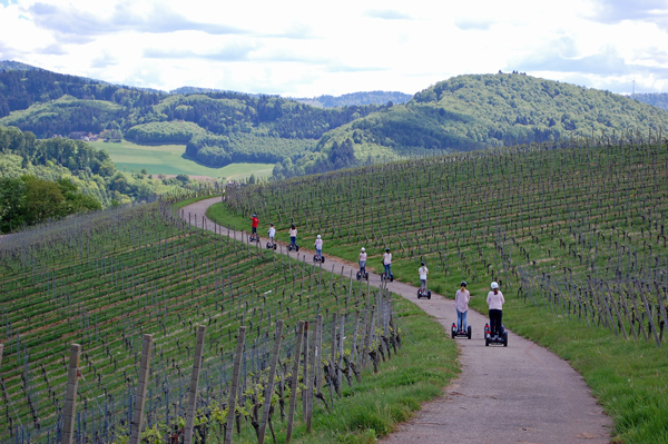 Segway-Tour Weinberg Segwayfahren durch den Weinberg