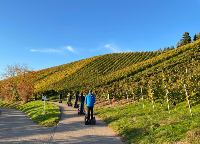 Segwayfahren durch den Weinberg Segwaytour