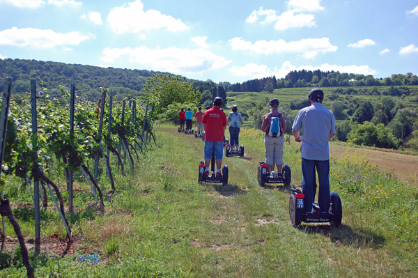 Weinberge