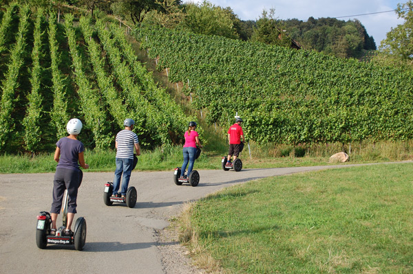 Hinauf in die Weinberge