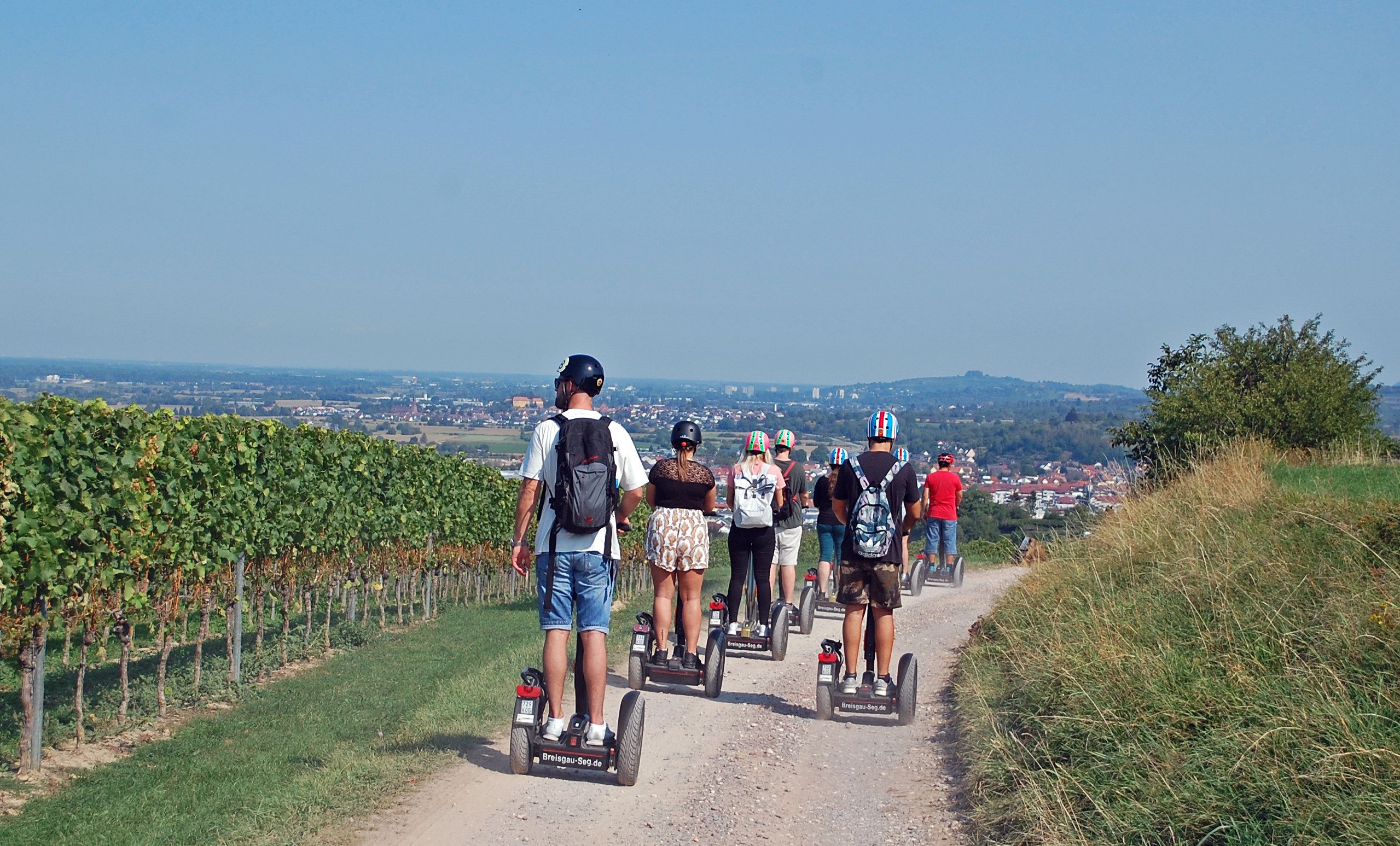 Ettenheimer Weinberge Panoramablick auf Ettenheim und den Schutterlindenberg bei Lahr